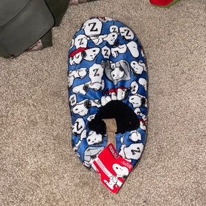 Peanuts slippers